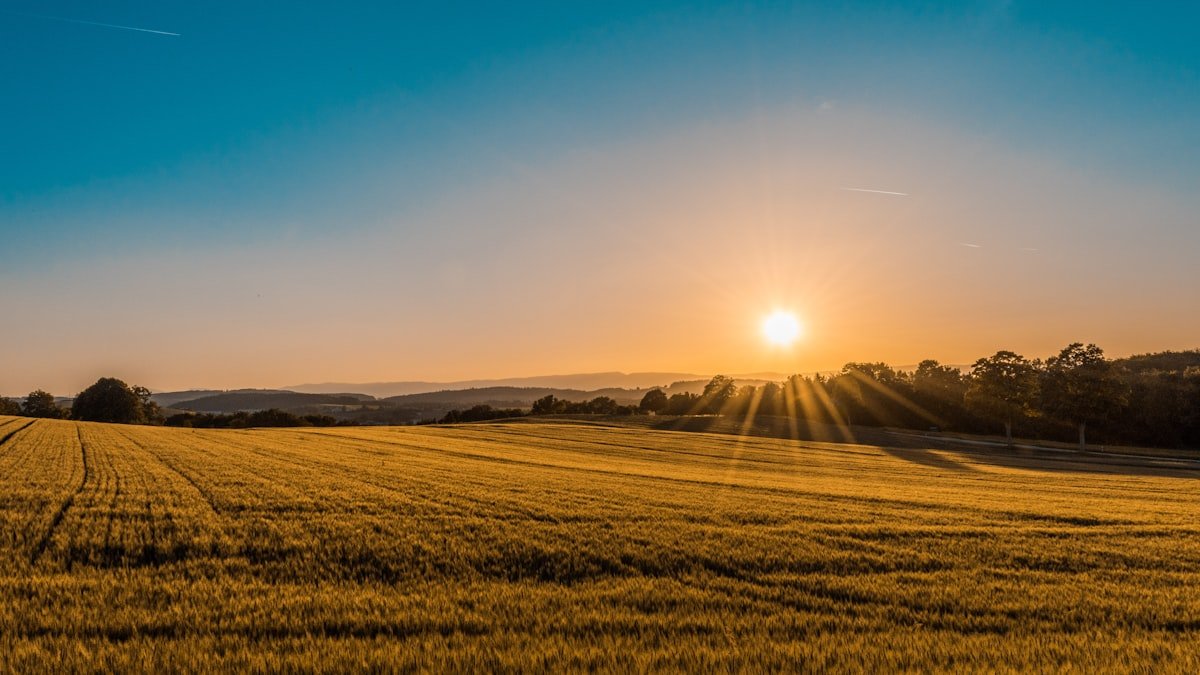Rural farmland representing rural internet connectivity options